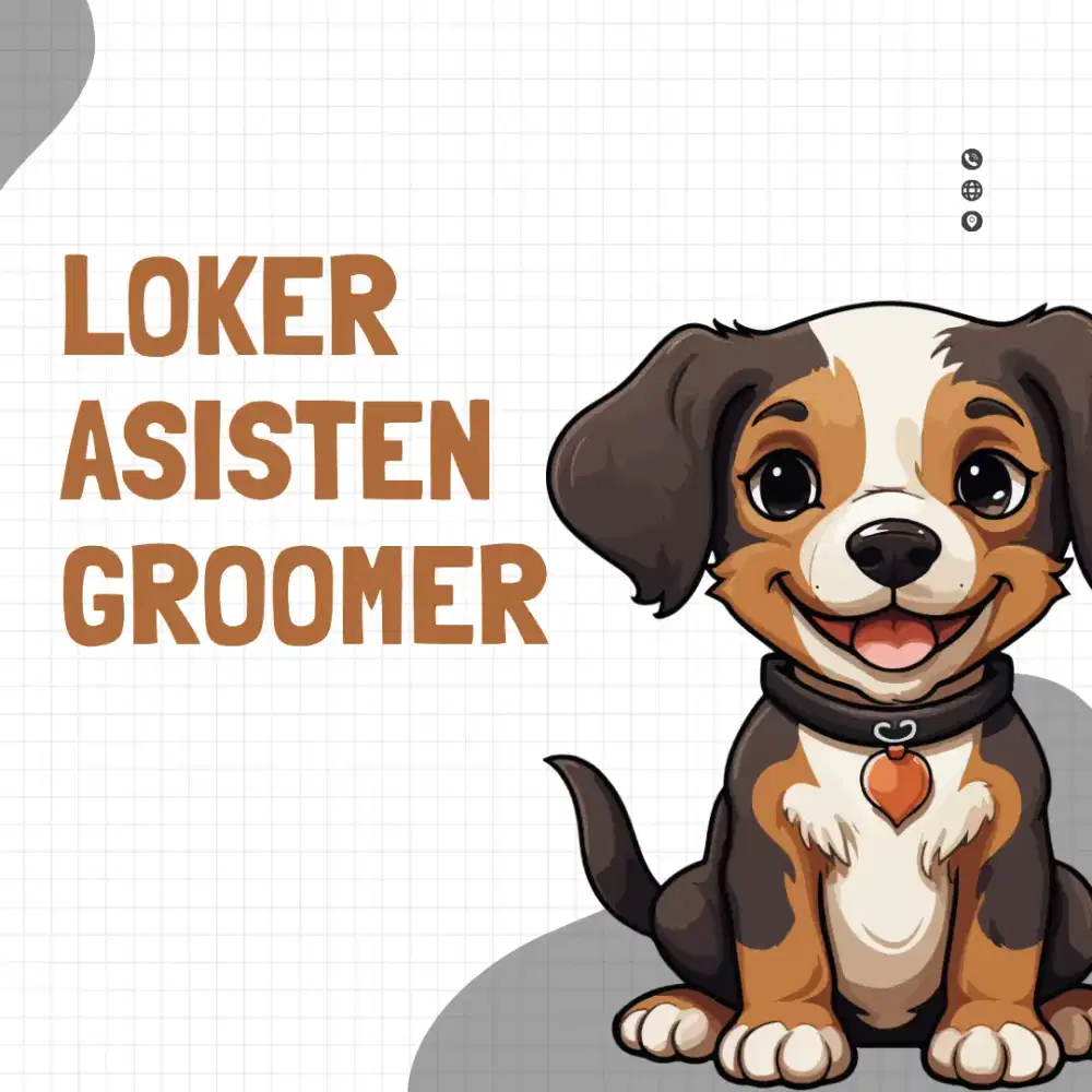 Loker asisten groomer