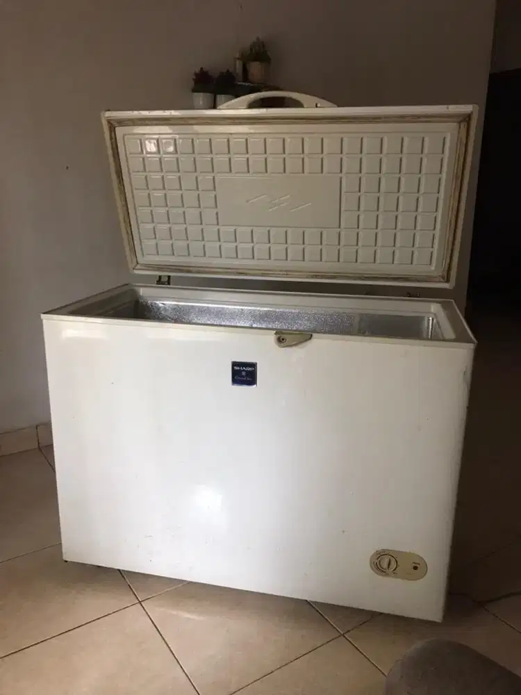 Freezer Sharp FRV-300