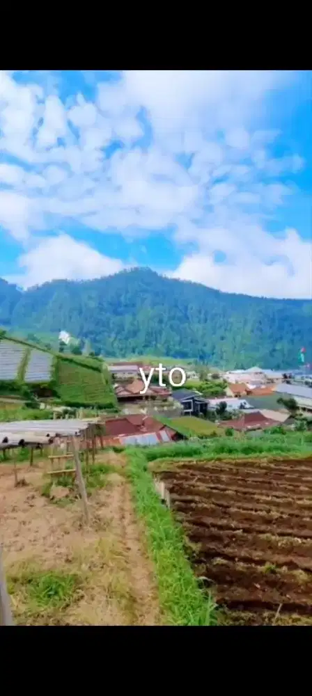 Jual tanah lokasi Gondosuli Tawangmangu lt 2000mtr hrg 2 Myd nego