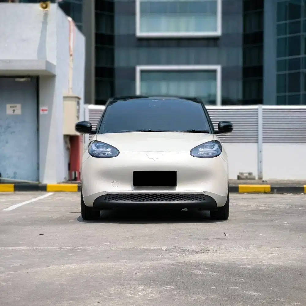 WULING BINGUO PREMIUM LR EV 2024