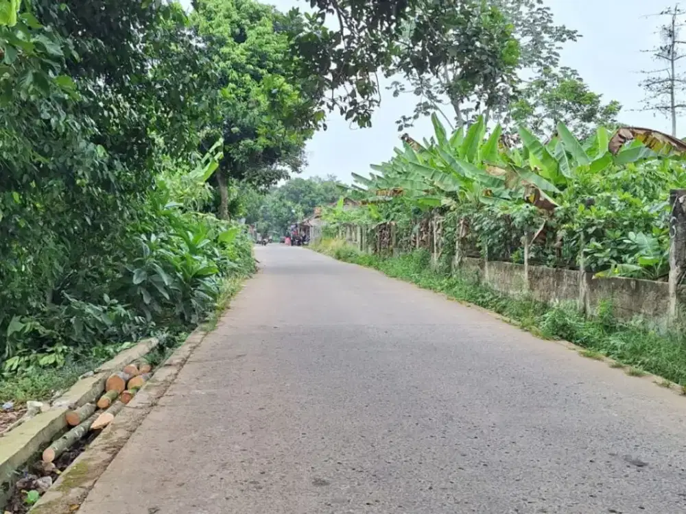 Segera Beli Kavling Tanah Cisauk 11 Menit Ke Stasiun Jatake BSD