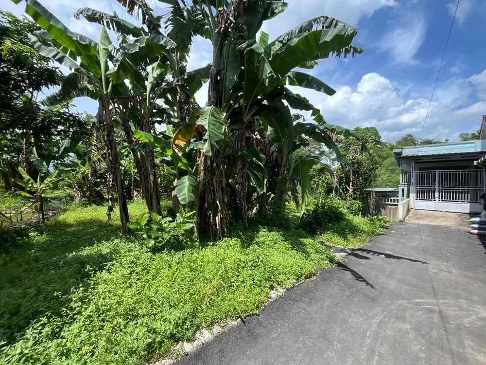 Dijual Tanah SHM - Lokasi Strategis Dekat Kampus Unsoed