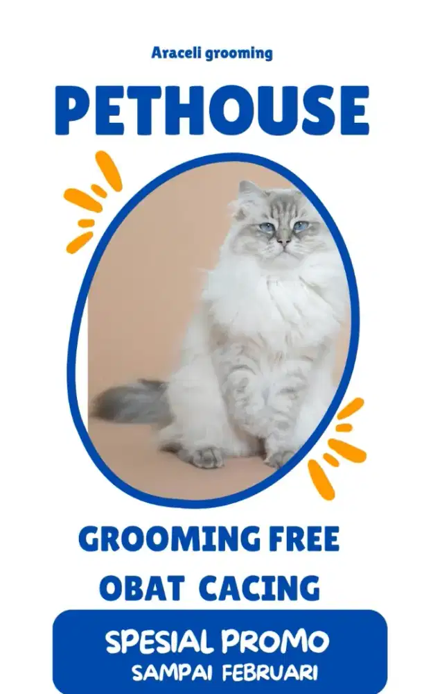 grooming kucing promo