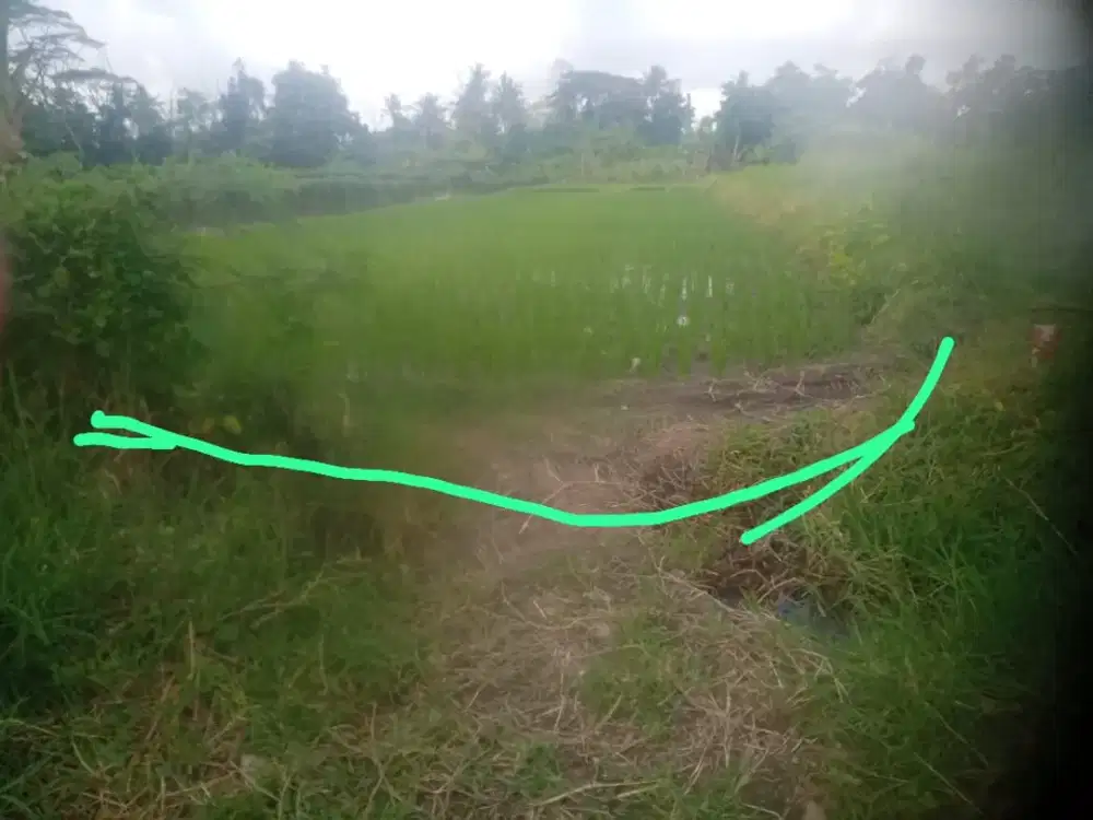 TANAH MURAH AREA SLEMAN TIMUR