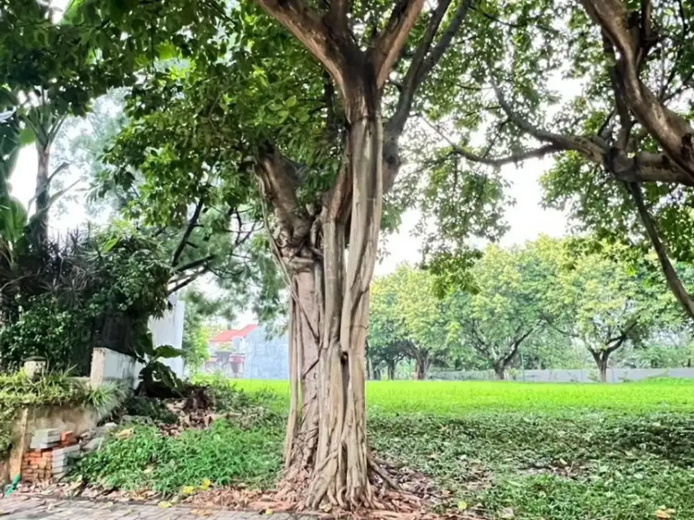 Kavling di Kemang Bekasi Luas 269m² Siap Bangun Lokasi Strategis