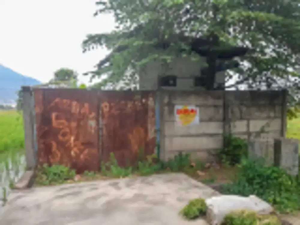 DIJUAL 4 BIDANG TANAH DENGAN TOTAL LUAS 4852 M2 - MOJOKERTO