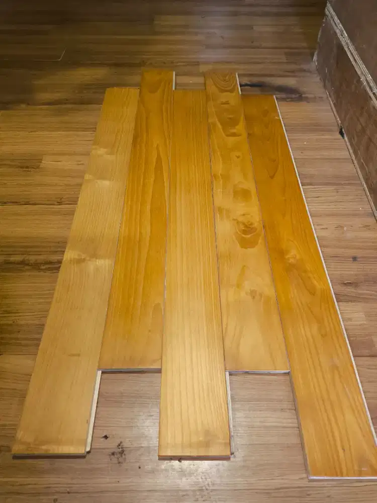 Parkit jati masih baru