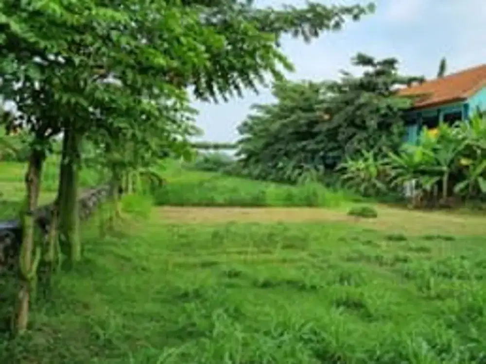 Tanah Raya Pemuda Mojosari Mojokerto 2.530 m² SHM – Lokasi Utama & Potensi Tinggi