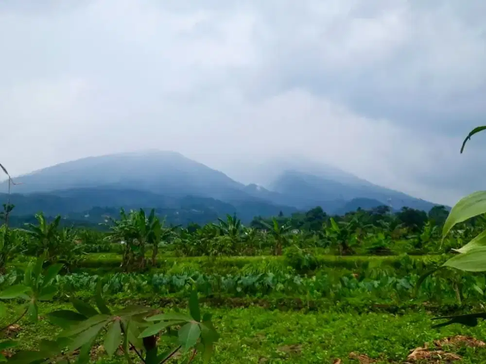 Dijual Tanah pemandangan gunung cijeruk bogor, #tanahcijerukdijual #tanahbogordijual #tanahvillabogor #