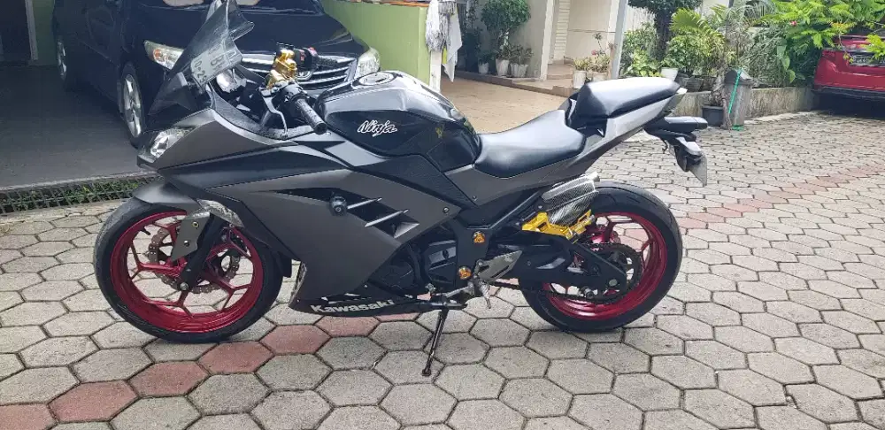 Kawasaki ninja fi 250, th 2016