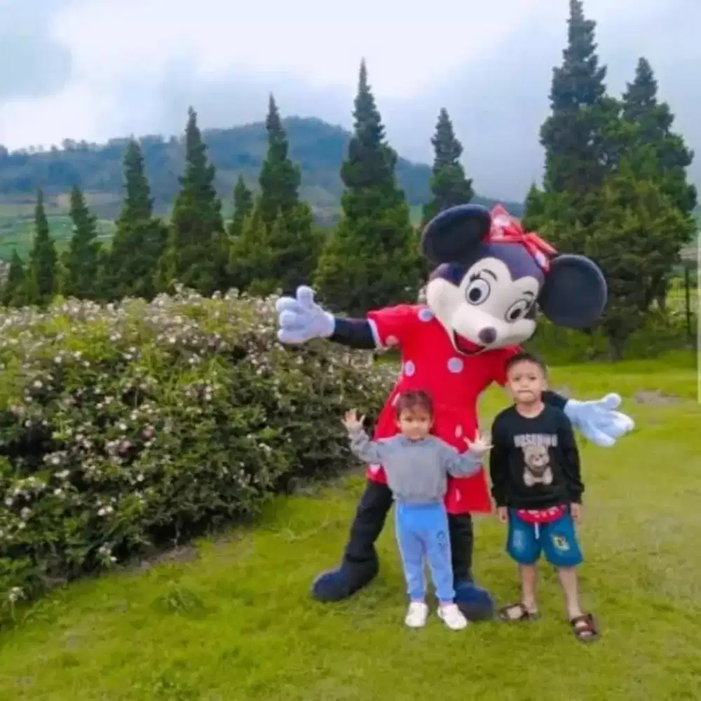 Info loker supir pribadi