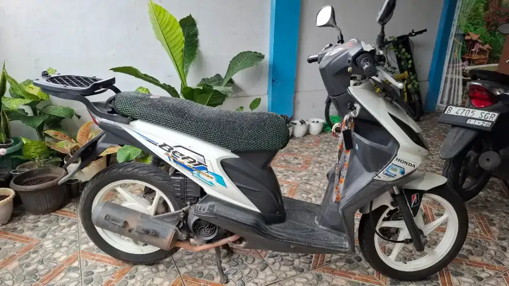 Beat karbu tahun 2009