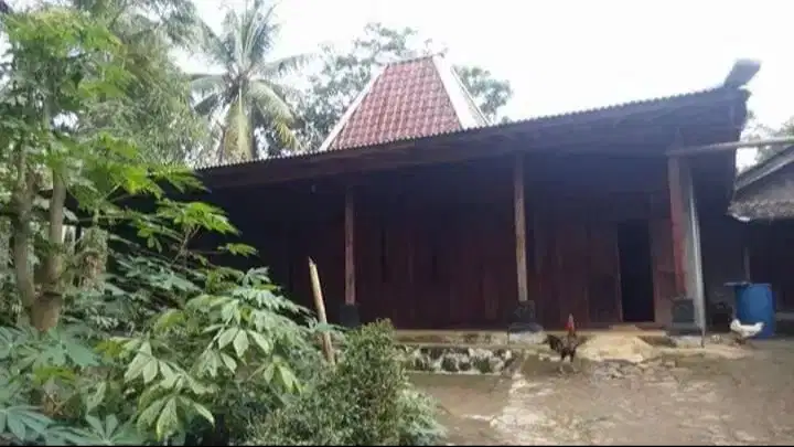Jual Tanah & Rumah Joglo Kayu Jati