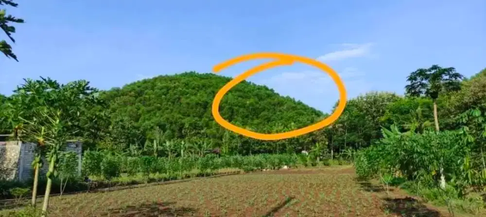 DiJual Tanah, SHM, lokasi dekat dg Pantai Kukup, gn kidul, YK