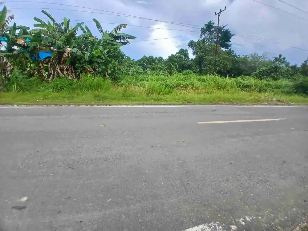 Jual Tanah di Kab.Sorong Sebelum RS.Kilo 24