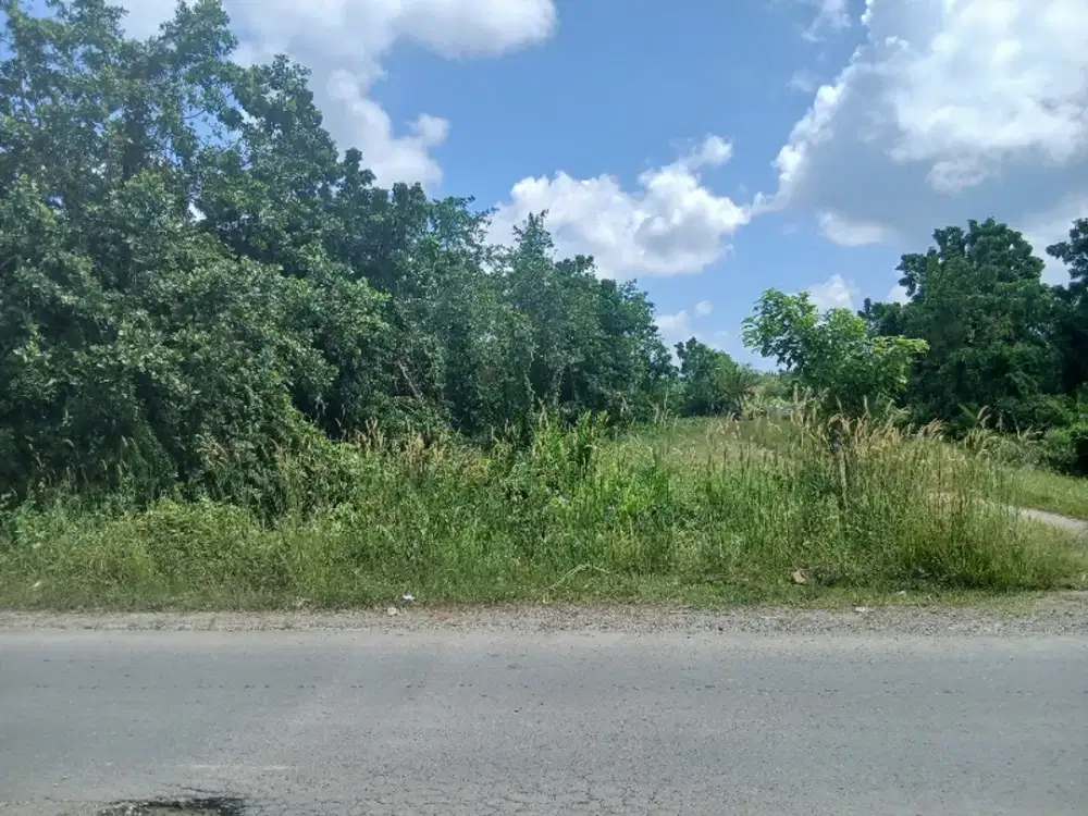 Jual Tanah Murah di kab.Sorong Jln.Kontener 2 Hektar