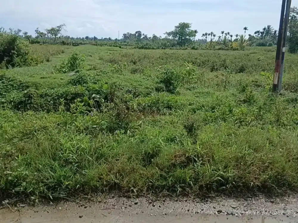 Jual Tanah di Kab Sorong Aimas Unit 1 Jln.Minyak