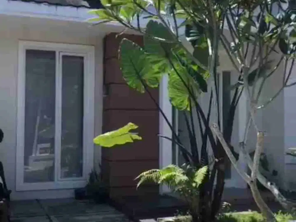 Rumah minimalis 1 lantai