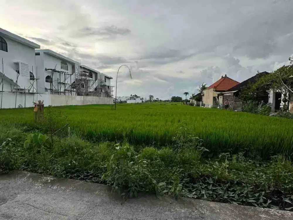 Dikontrakan Tanah 13 Are di Cemagi Mengening arah ke Pantai