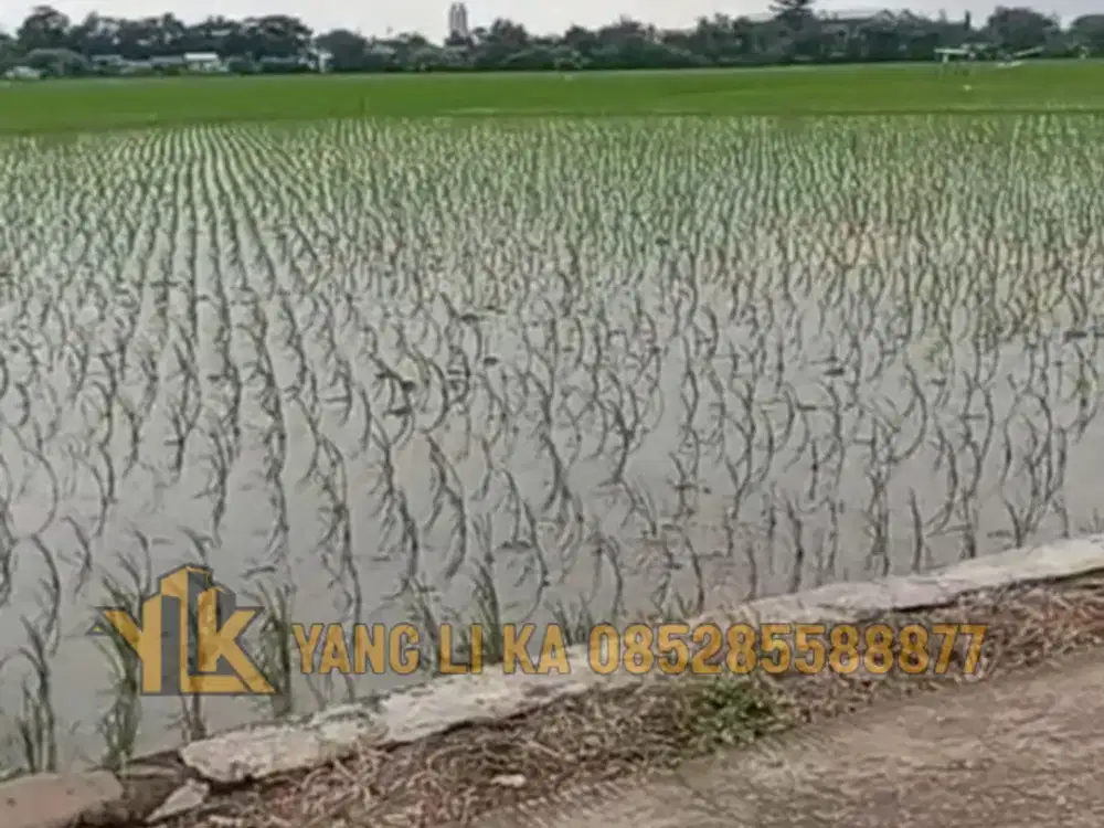 Jual Cepat Tanah Murah Dengan Luas 7.460 m2 Di Tanjungpura Karawang Barat