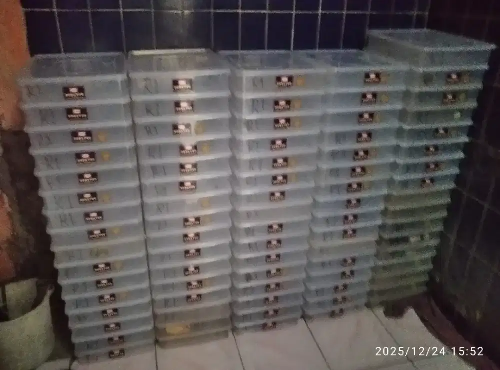 40 box donatsu masih utuh bersih
