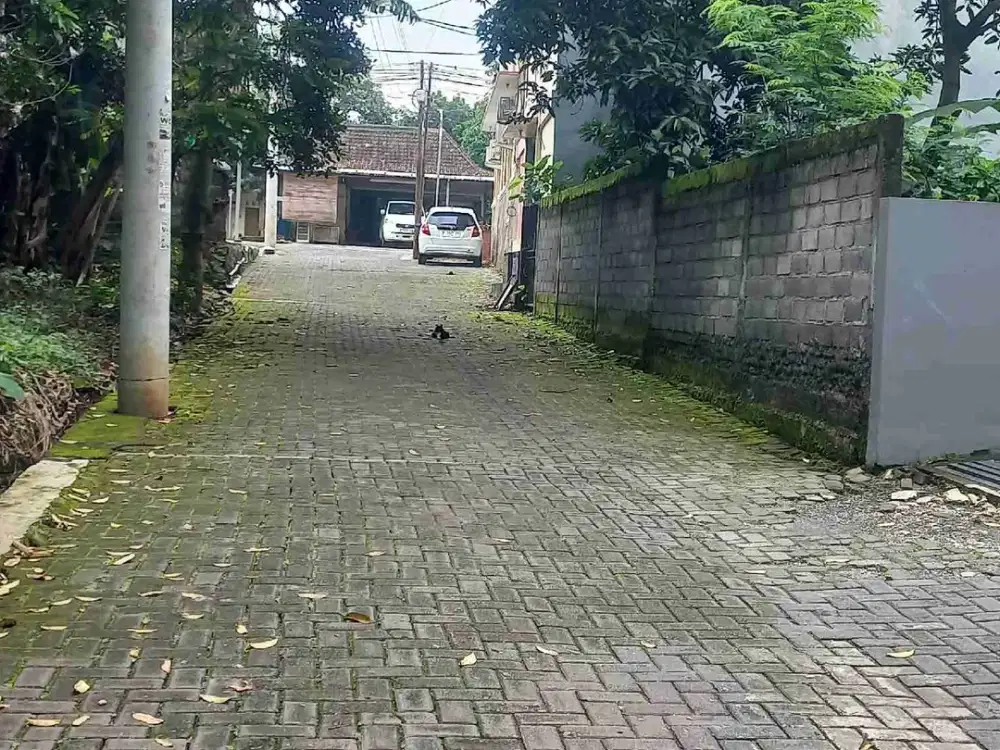 Dijual Tanah Undip Tembalang Semarang