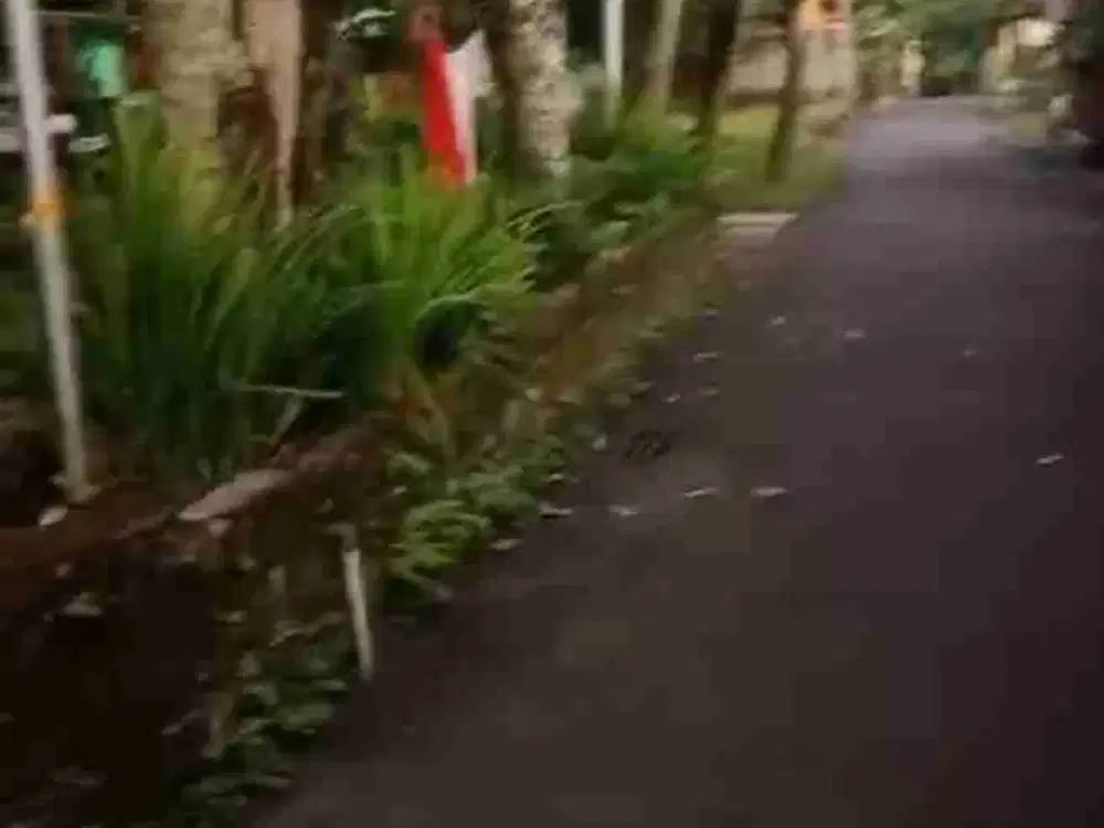 TANAH SLEMAN NGAGLIK SARDONOHARJO