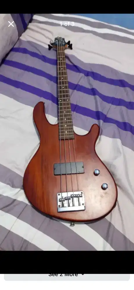 Cort Action Junior Shortscale