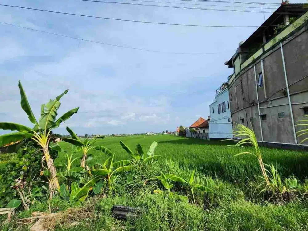 For Lease Tanah Minimal 10 are - 50 are Jalan Utama Pantai Cemagi Mengening