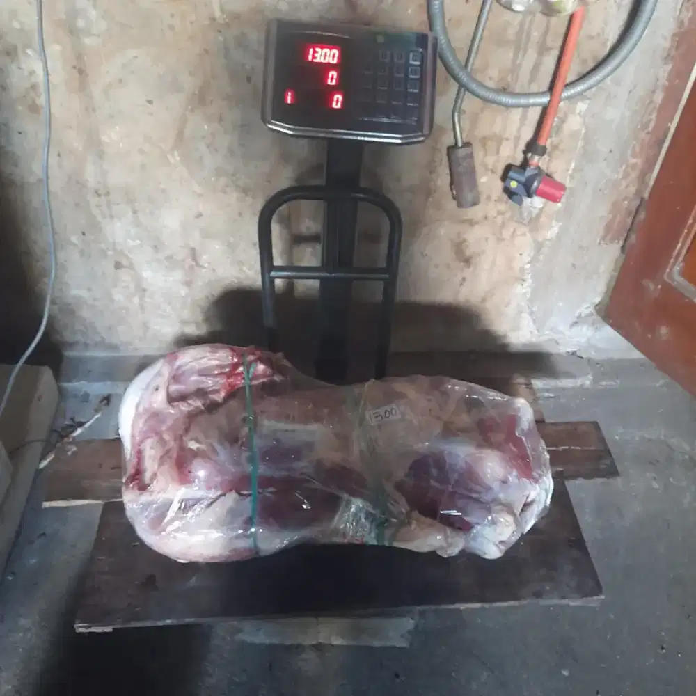 Karkas Kambing / Kepala kambing / Kaki Kambing