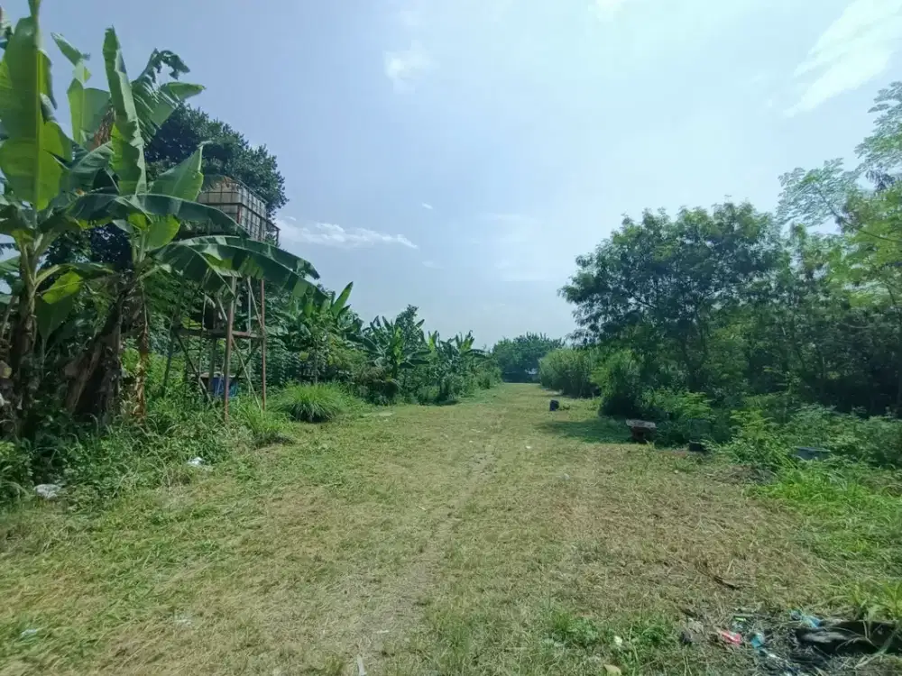 Tanah Kavling Murah Siap Bangun di Gajah Mekar Kutawaringin Bandung
