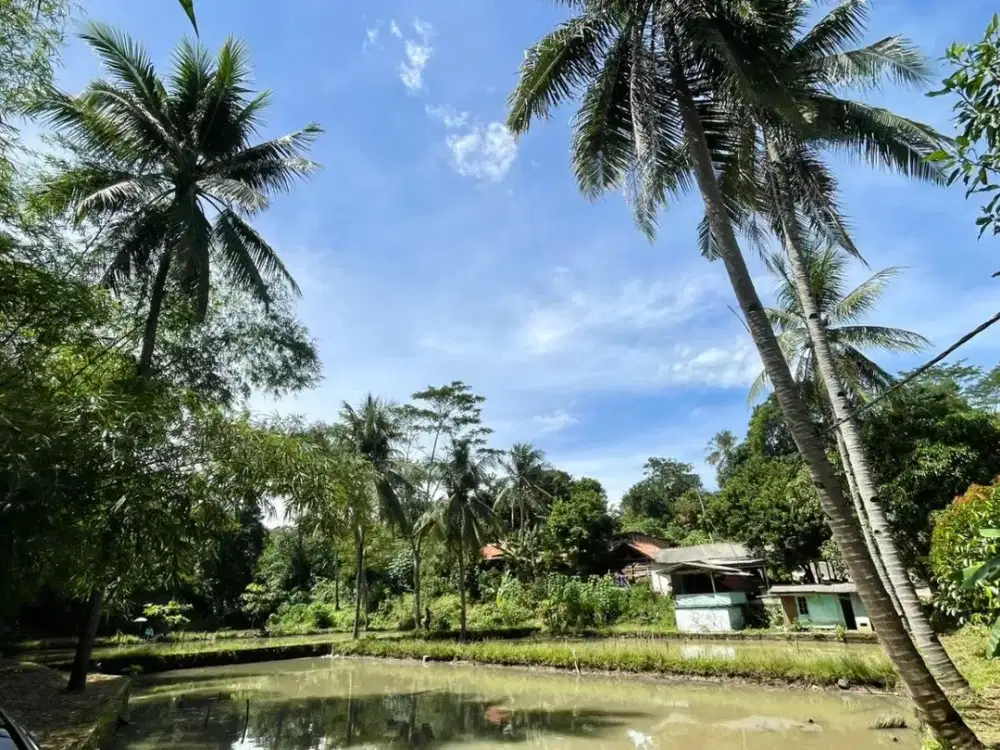 Tanah + Kolam Ikan Pinggir Jalan di Pasawahan Purwakarta Dijual Murah