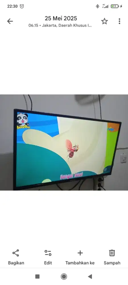 TV 24 Panasonic murah