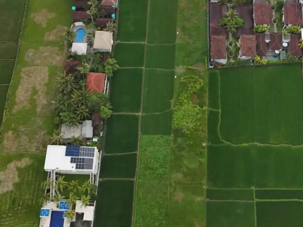 Dijual Tanah Los Pantai Yeh Sumbull Jembrana Bali