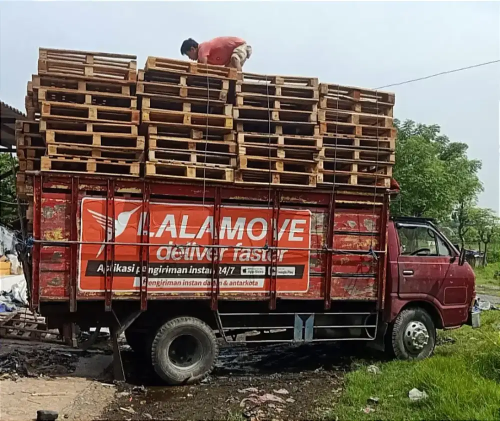 Jual palet kayu jati Belanda / wood pallet