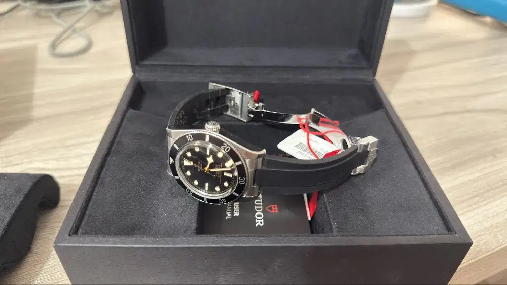 TUDOR BLACKBAY 54