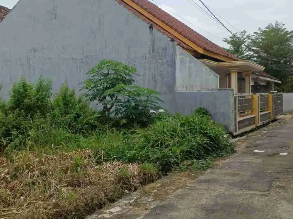 TANAH MURAH DISUKARAME BANDAR LAMPUNG