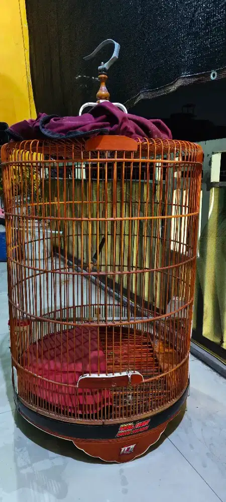 Kurungan murai ukuran 58