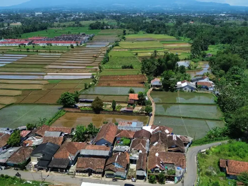 Sawah Produktif Cikaret Kebonpedes Sukabumi dekat Lingkar Selatan