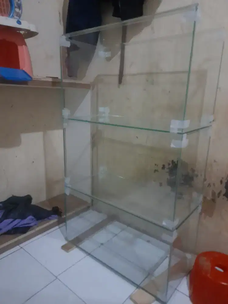 #aquarium#ikanhias#hobi#peralatanaquarium#air#