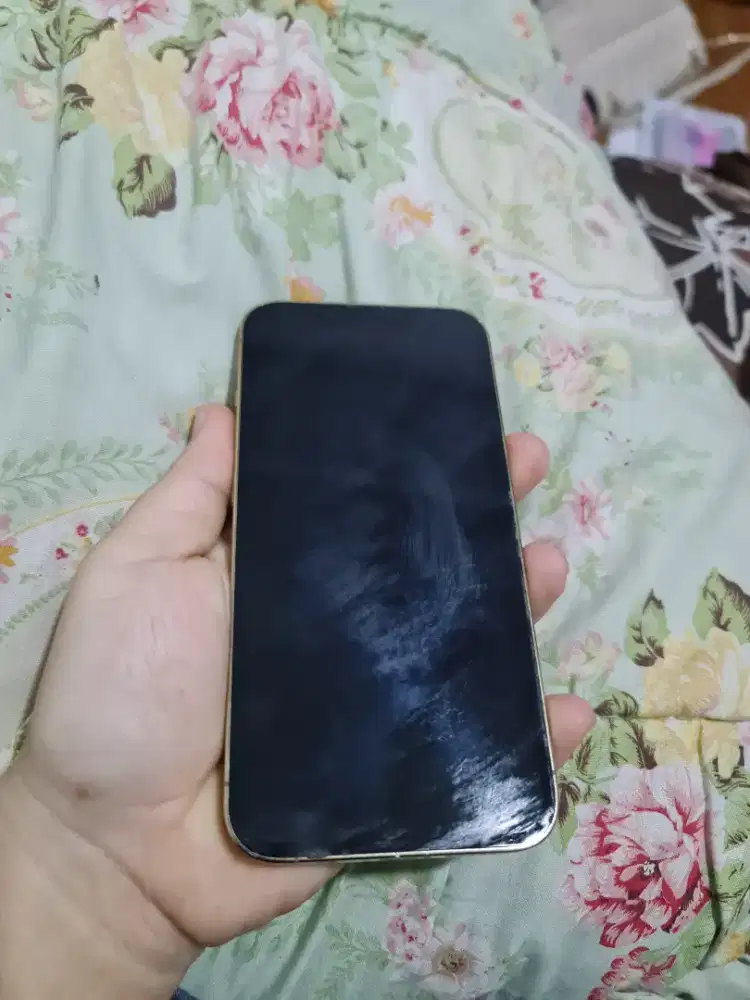 Iphone 13 pro 256 inter