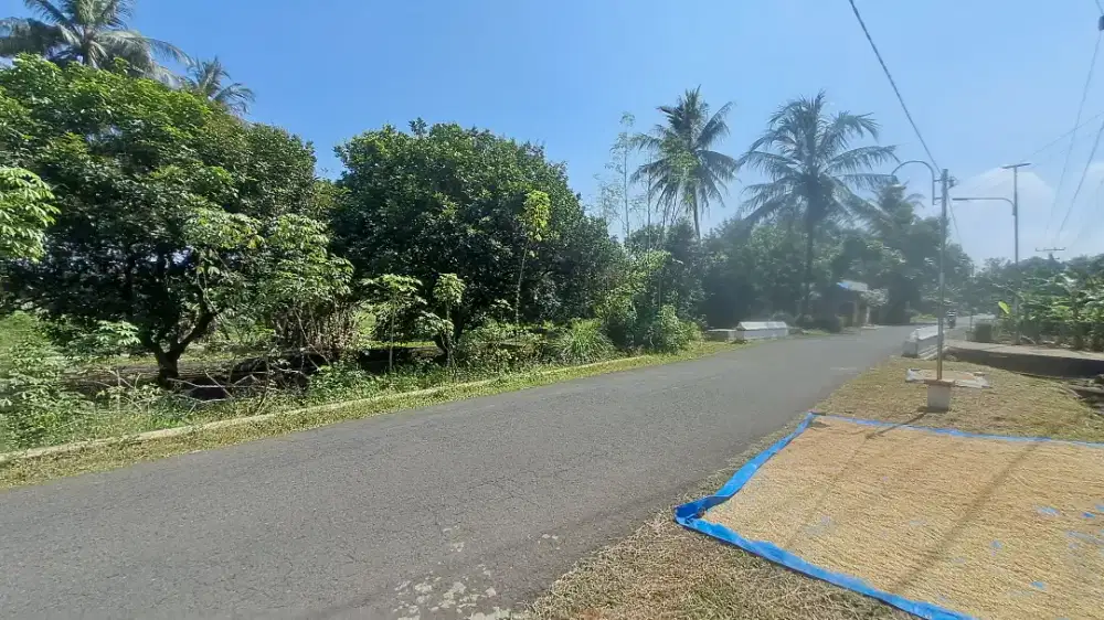 Dijual Tanah SHM luas murah tepi jalan aspal