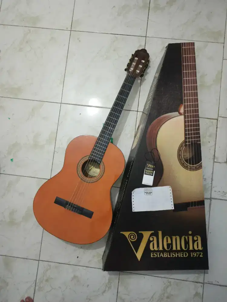 Gitar valencia mulus