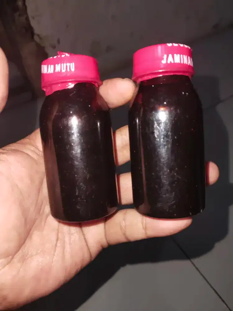 MADU hitam mirni