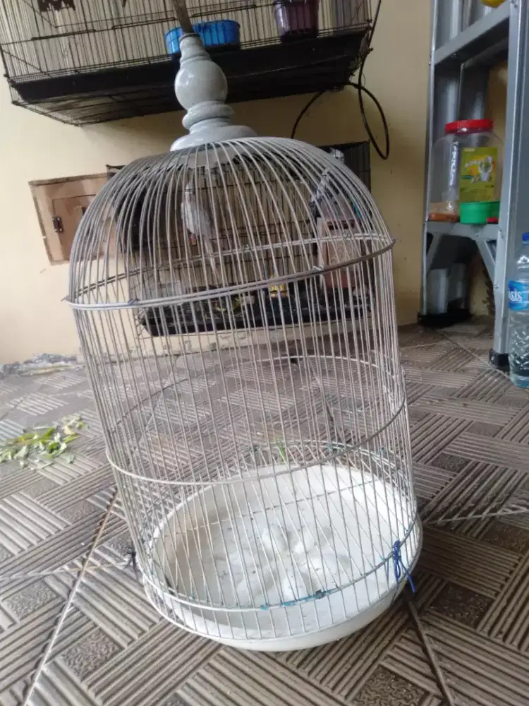 Kandang burung murah
