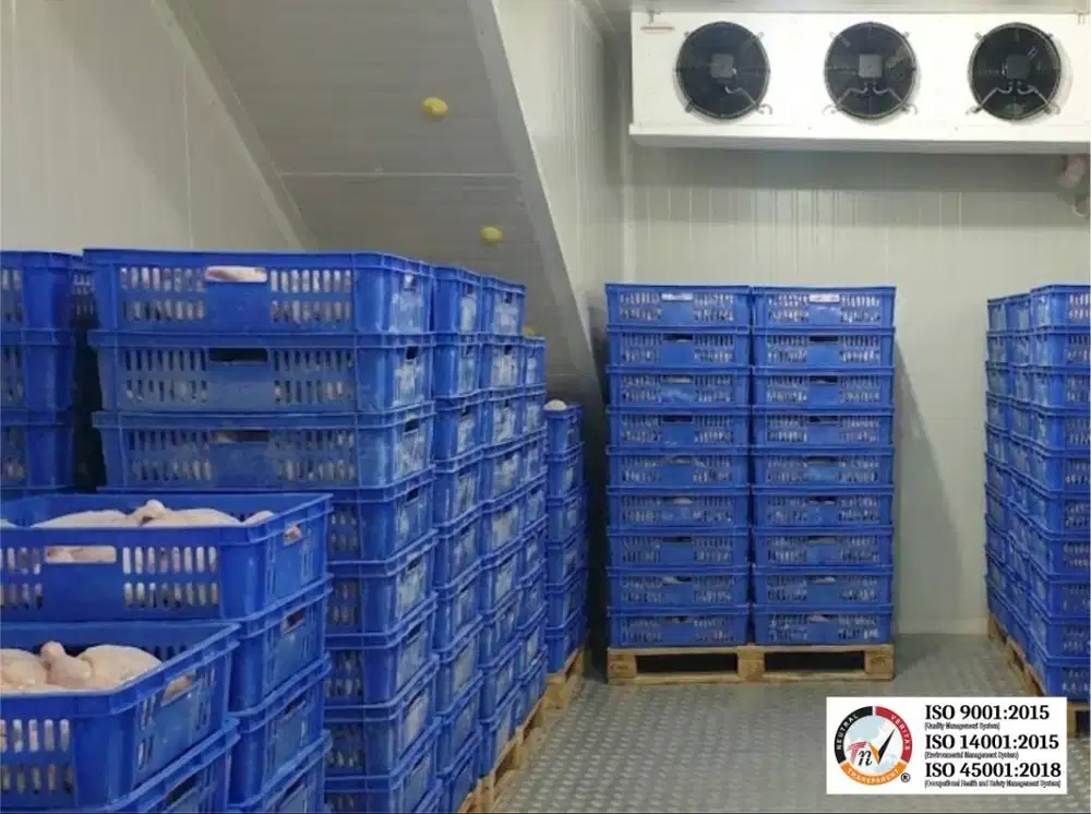 Mesin Cold Room Kapasitas Custom BJT by Bitzer German 4 PK Low Temp: S