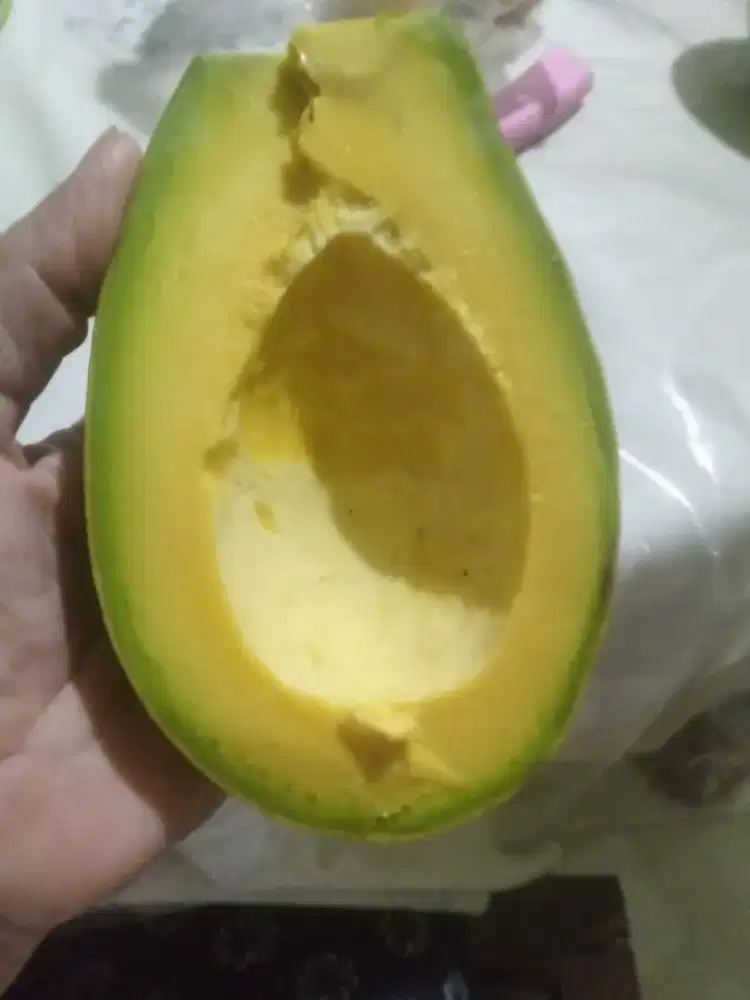 Alpukat mentega boyolali grade A