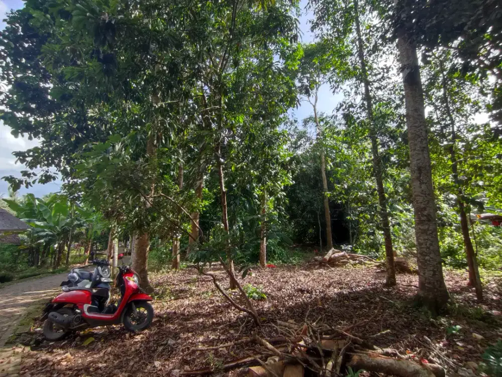 DIJUAL TANAH KEBUN – SIAP BANGUN RUMAH