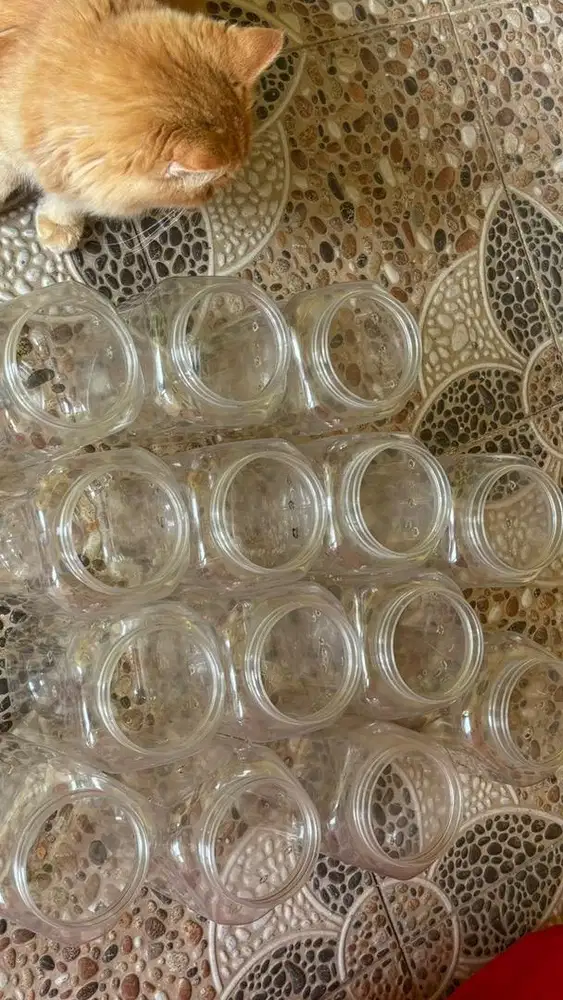 tempat ikan / toples ikan / wadah ikan cupang / ikan guppy