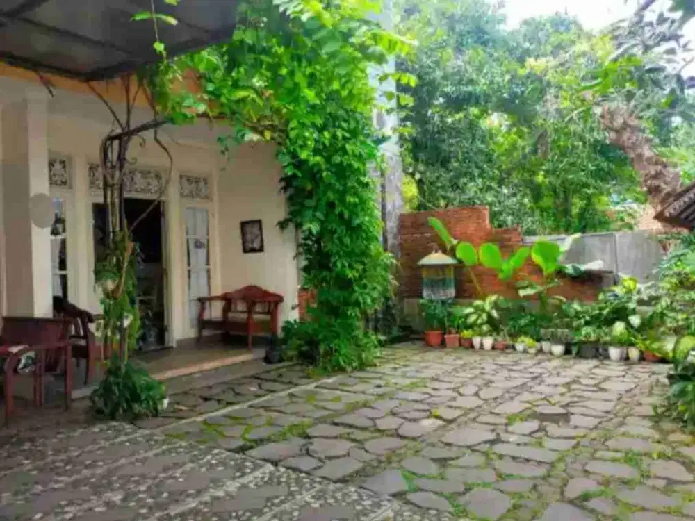 RUMAH ASRI TENGAH KOTA DI JL MUGAS BARAT SEMARANG SELATAN